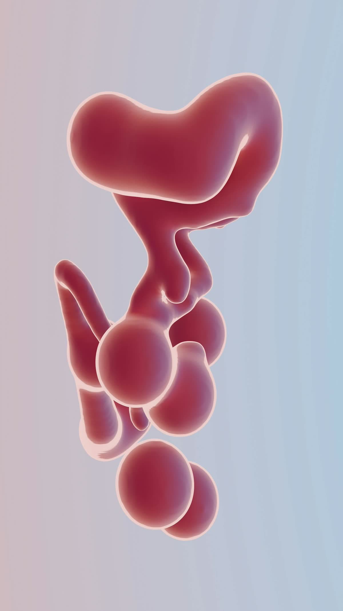 Configura métodos de pago en Shopify