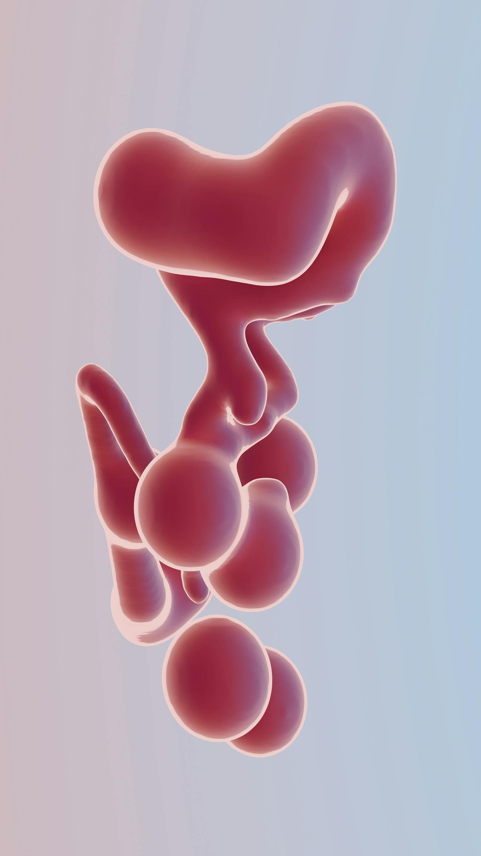 Imagen del artículo: Configura métodos de pago en Shopify